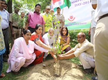 Independence Day and Plantation Activity